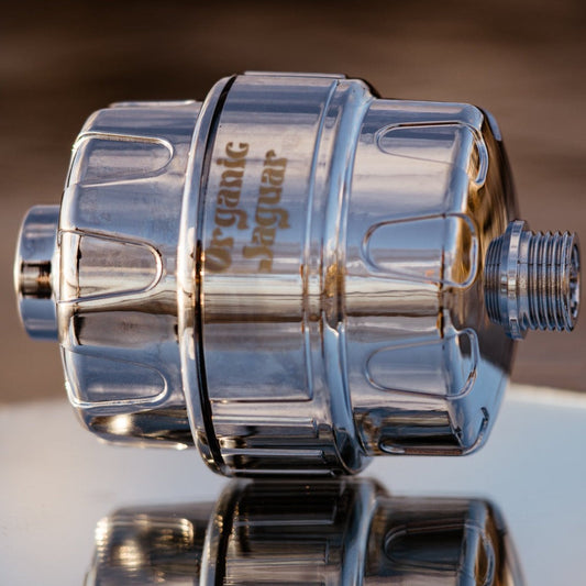 Shower Filter